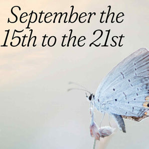 Delicate blue butterfly on a soft flower with text: "Your Week: September the 15th to the 21st," "Conversations with The Gods."