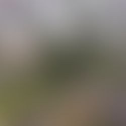 Connecting with Nature