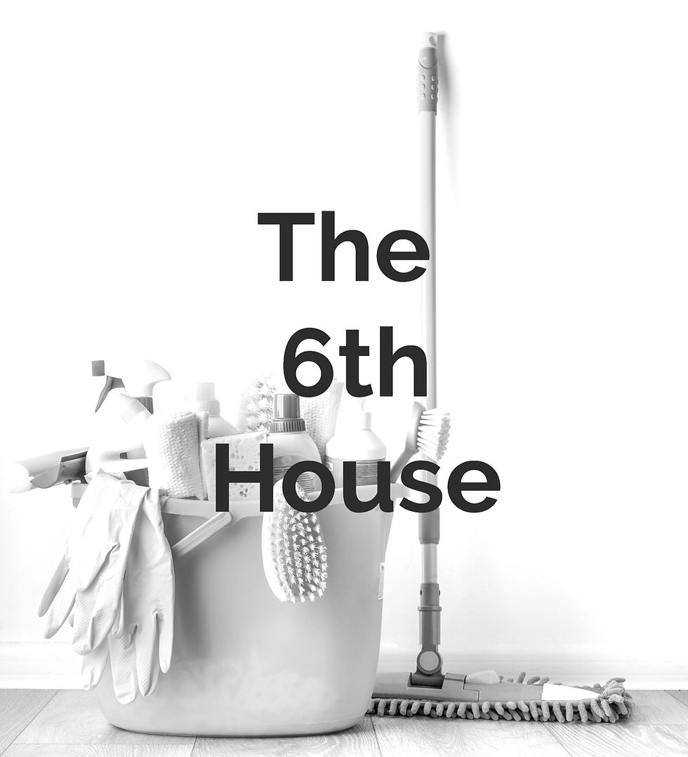 Cleaning supplies in a bucket with gloves and brushes on a floor. Background text reads "The 6th House." Monochrome setting.