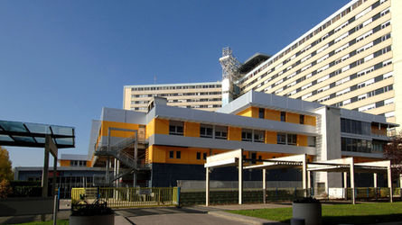 RESO Bordeaux – Centre de référence des maladies auto-immunes et auto-inflammatoires systémiques rares de l’adulte
CHU de Bordeaux