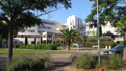 CERAIS – Centre de référence des maladies auto-immunes et auto-inflammatoires systémiques rares de l’adulte du Sud de France –
CHU de Montpellier, Hôpital Lapeyronie, Service de rhumatologie
___
371 avenue du Doyen Gaston Giraud
34090 Montpellier