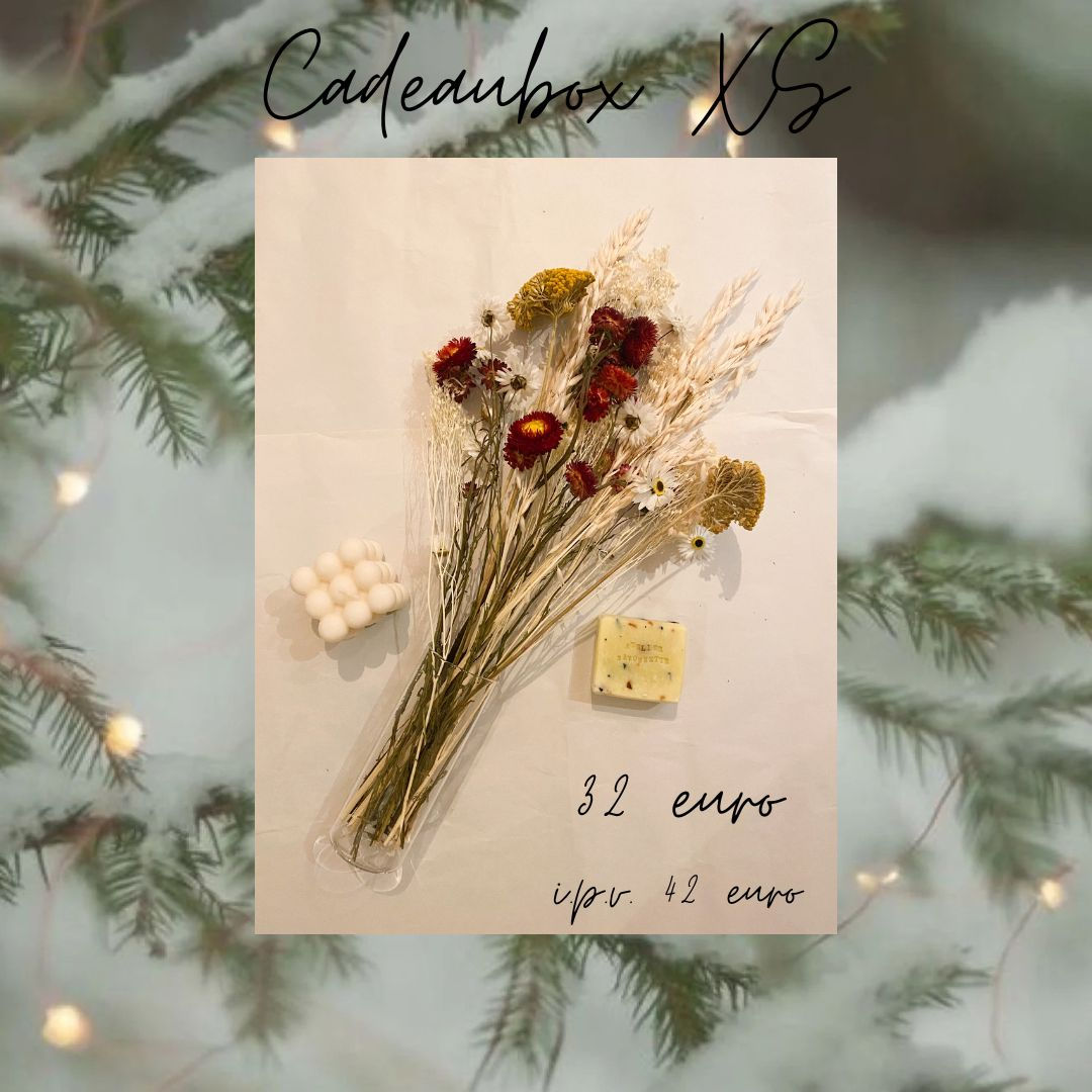 Cadeaubox  XS