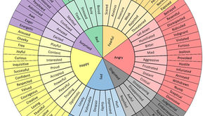 Feelings Wheel