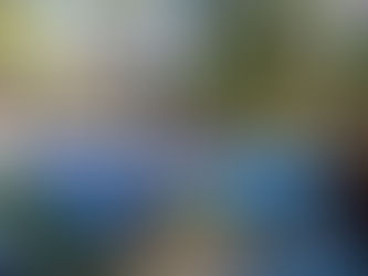 MEIO AMBIENTE E PROTEÇÃO ANIMALCurso gratuito de fotografia abre inscrições para jovens da rede pública em Ferraz de Vasconcelos