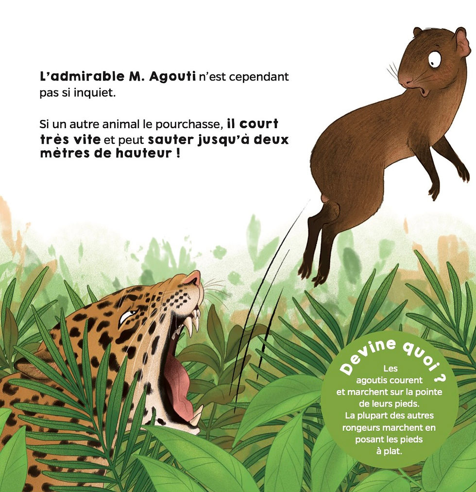 Thumbnail: FRENCH EDITION