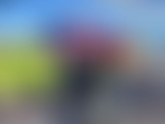 US Independence Day Celebration