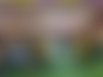 กิจกรรมอบรมศึกษาดูงานวันที่สอง(2)วิสาหกิจชุมชนจันทราบุรีปากน้ำแหลมสิงห์ เรื่องการบริหารจัดการกลุ่มวิสาหกิจชุมชน