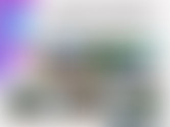 เรื่อง ออกพ่นควันกำจัดออกพ่นควันกำจัดยุงเพื่อควบคุมและป้องกันการเกิดไข้เลือดออก หมู่2และ หมู่6