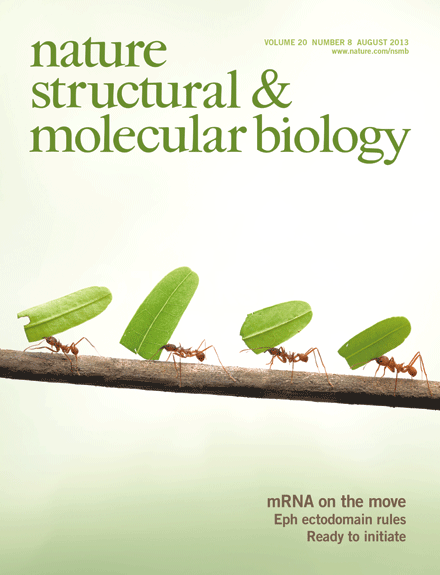 Explaining the degradation of pervasively transcribed RNAs