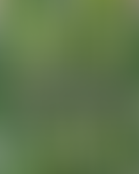 Limitless Thought | Leadership (105) | Practices & Habits to Return to Flow