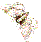 DEEJDQMRCA4ROPTPLXWIHID6X3TEVFPU.gif