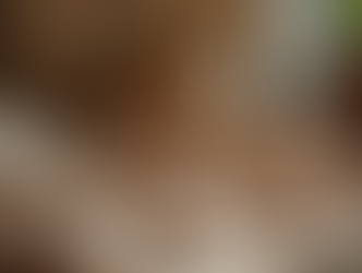 Why Choose Miss Brihave For Quality Offerings