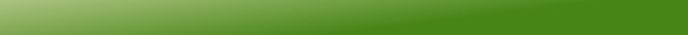 green divider.jpg