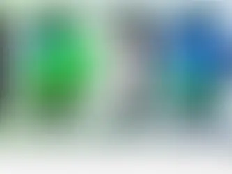 The Adolescent Brain Cognitive Development Study (ABCD Study)