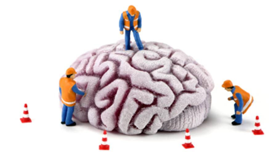 funtionalneuro