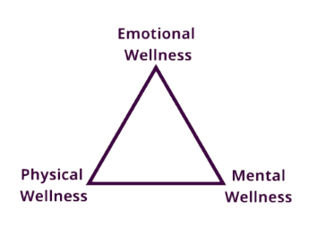 Single session guided meditation