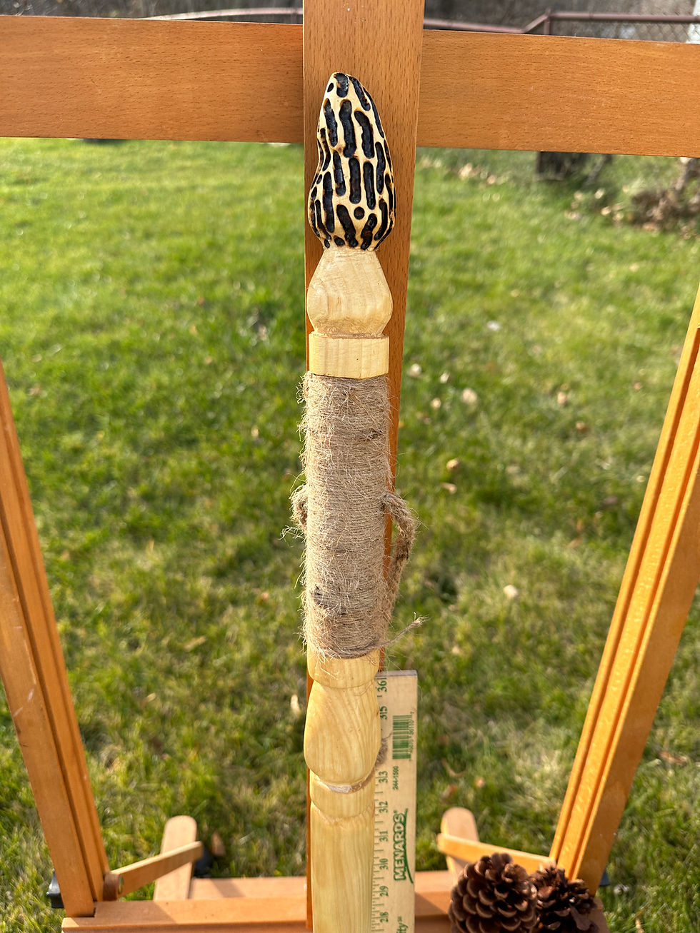 Thumbnail: Morel Walking Stick