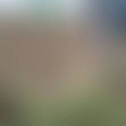 Unsere Mitglieder beim vermessen und abstecken der Parzellen.