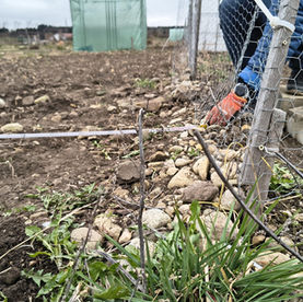 Unsere Mitglieder beim vermessen und abstecken der Parzellen.
