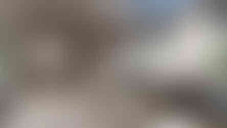 Großer Esstisch im Salon des Wohnbereichs im Erdgeschoss