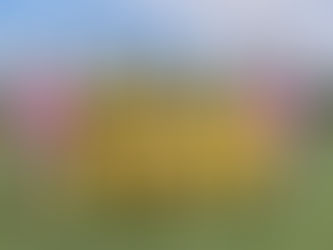 JFA全日本U-12サッカー選手権大会