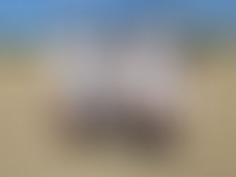 2025/7/13　U-9　長野市サッカー協会杯