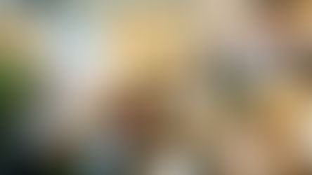 coquelicot trio1stコンサート無事終わりました♬