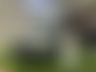 The EV Reset: What Cancelled Models Really Mean for Battery Startups and Investors