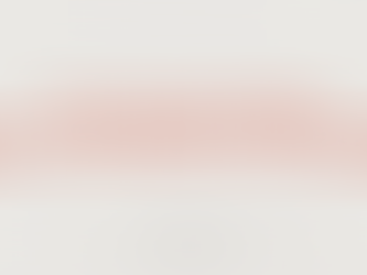 Article cover: The 4 execution risks investors want you to explain