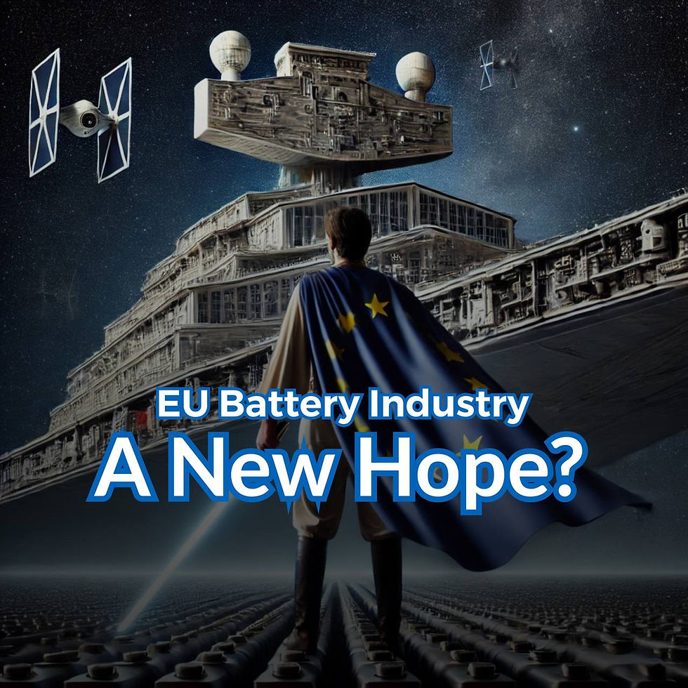EU Battery Industry: The New Hope