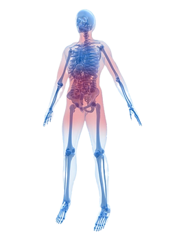 Optimal diet skeleton_edited_edited.png