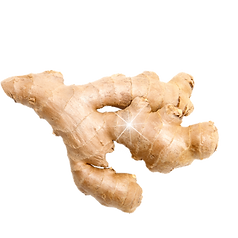 Ginger_edited.png