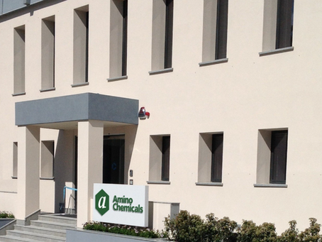 Conflict Management Training at Amino Chemicals