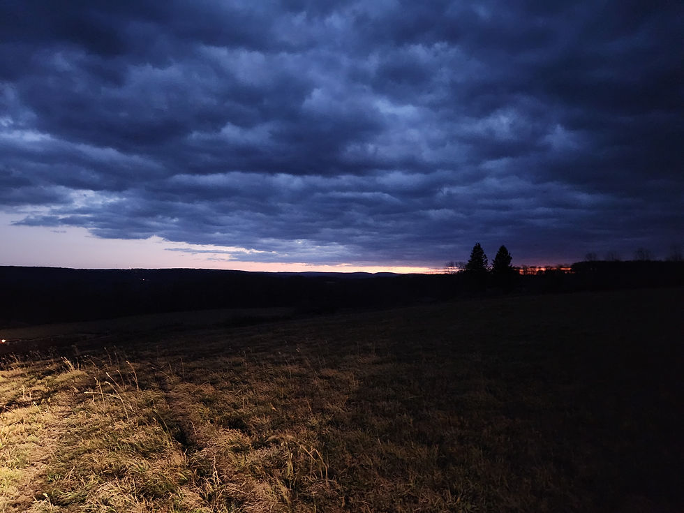 20251105_174400 (1).jpg