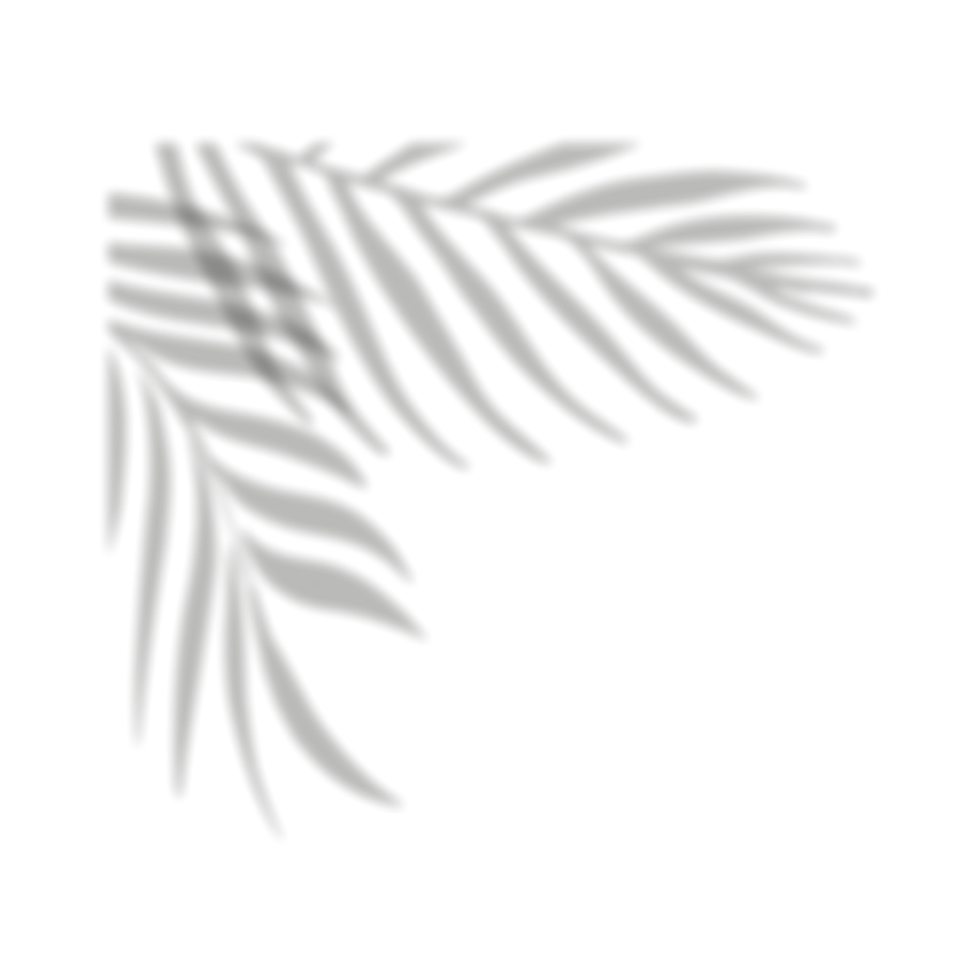 Progetto senza titolo (8).png