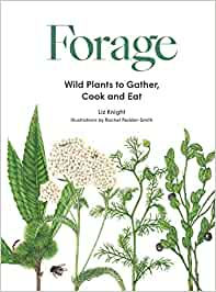 Forage: Wild plants to gather and eat