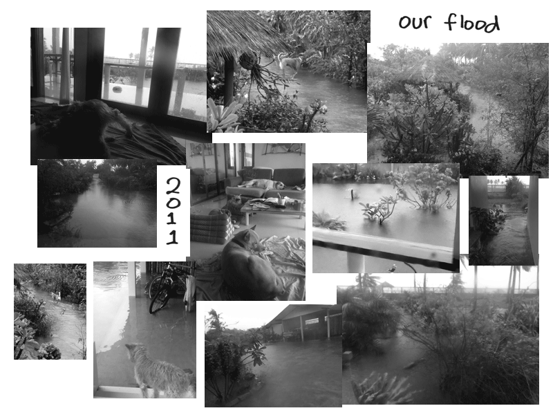 flood2011.gif