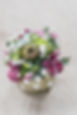 LIF__DSC4956.jpg