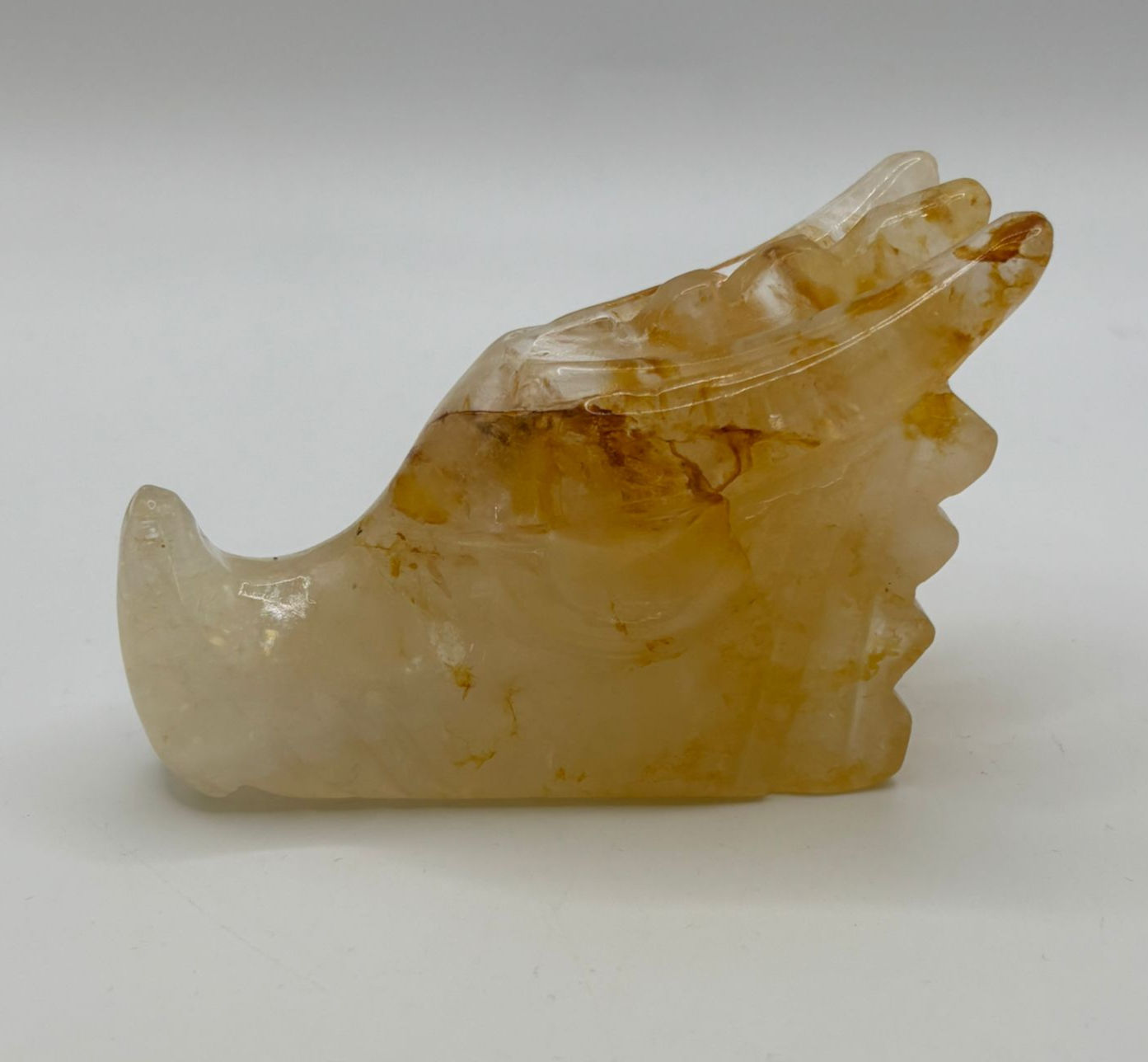 Golden Healer Dragon - MADAGASCAR