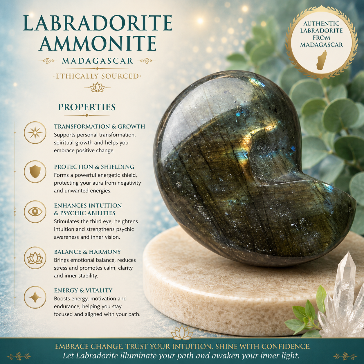 Labradorite Ammonites - MADAGASCAR