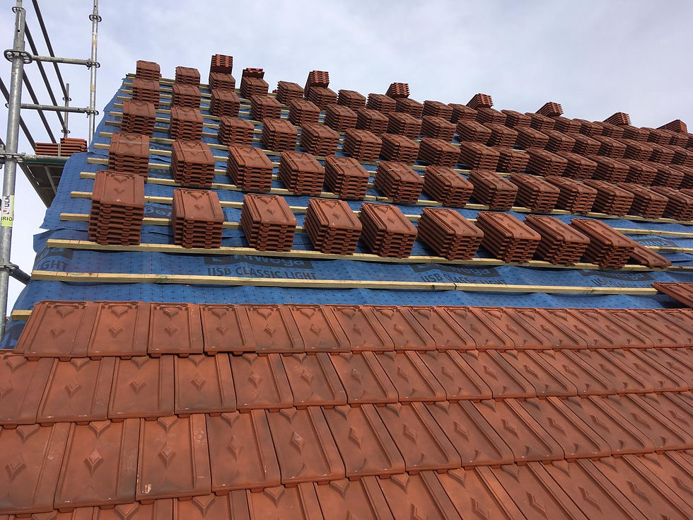 6 durante la reforma