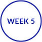 COURSE WEELKY PROGRESSION GRAPHIC_edited.jpg