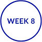 COURSE WEELKY PROGRESSION GRAPHIC_edited.jpg