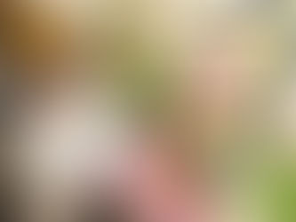 अटल पुण्यतिथि : झारखंड राज्य निर्माता व पूर्व पीएम वाजपेयी को भाजपाइयों ने दी श्रद्धांजलि