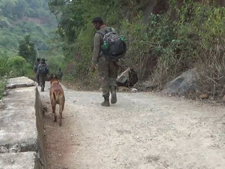 सारंडा जंगल में आईईडी ब्लास्ट, जवान घायल, स्निफर डॉग शहीद