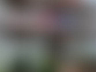 BIG BREAKING : सारंडा में सुरक्षा बल और नक्सलियों के बीच भीषण मुठभेड़, एक नक्सली ढ़ेर, सर्च ऑपरेशन जारी