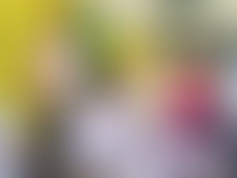 घाटशिला विस उपचुनाव, सीईओ ने बुथों का किया निरीक्षण, अधिकारियों को क्या मिला निर्देश, जानिए खबर में