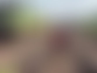 बंद था रेल फाटक, जान जोखिम में डाल लाइन पार करने लगी महिला,तभी आ गई ट्रेन, फिर क्या हुआ, पढ़िए खबर में