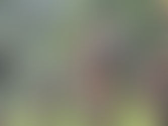 BIG BREAKING : सारंडा में पुलिस-नक्सली मुठभेड़, एक नक्सली ढ़ेर, मौके से हथियार बरामद