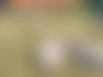 रात के अंधेरे में पशुओं को ले जा रहे थे तस्कर, पुलिस को लगी भनक,लगाया बेरियर,क्या मिली सफलता, पढ़िए खबर में